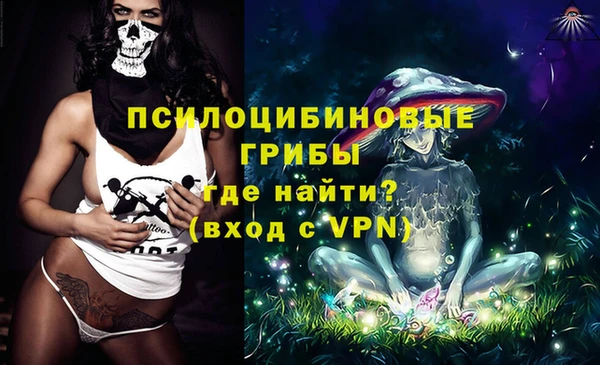 бошки Алексин
