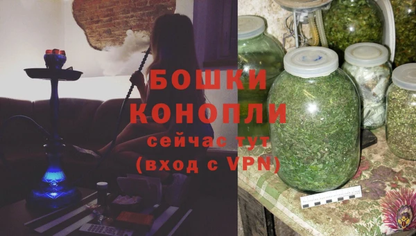 бошки Алексин